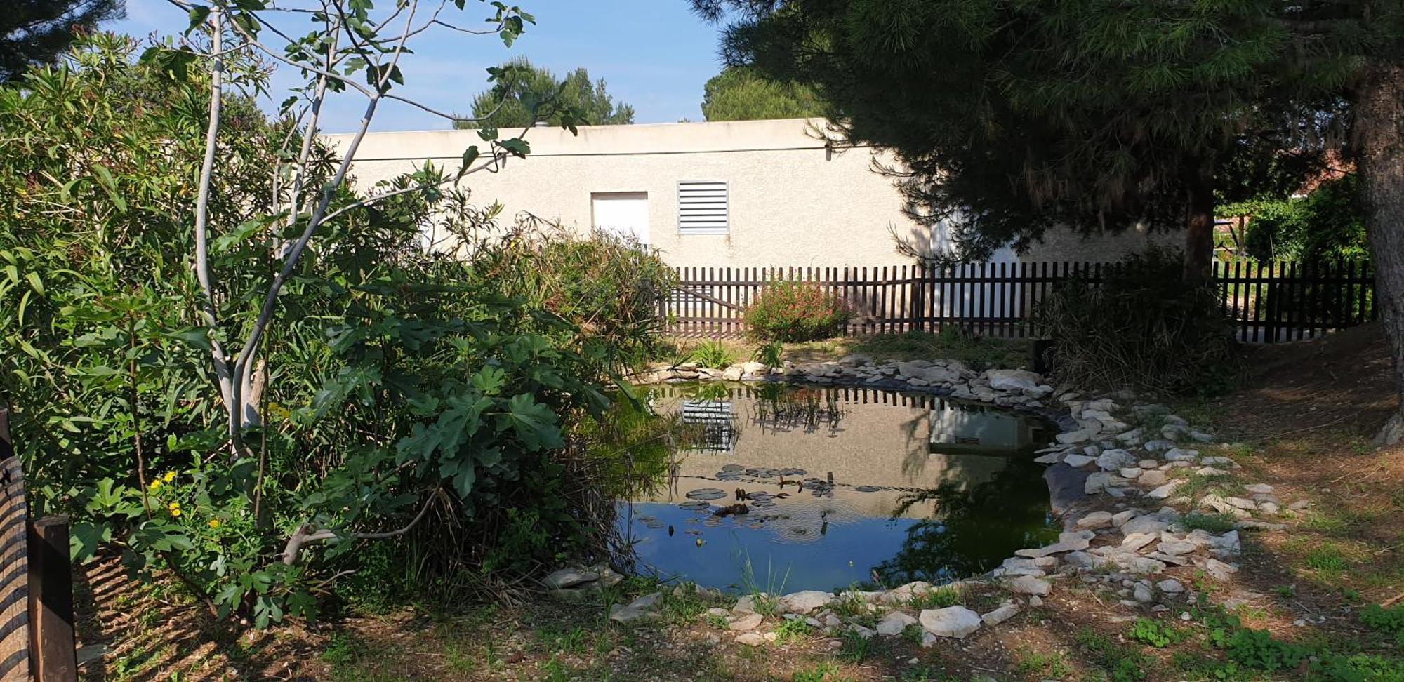 Maison"La Cigale Du Sud" Calvisson Eksteriør billede